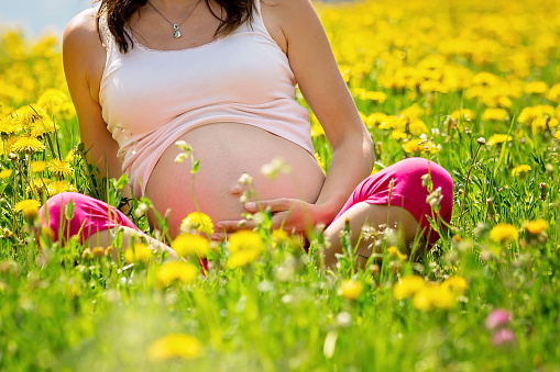 Young pregnant woman, sitting in a dandelion field, springtime