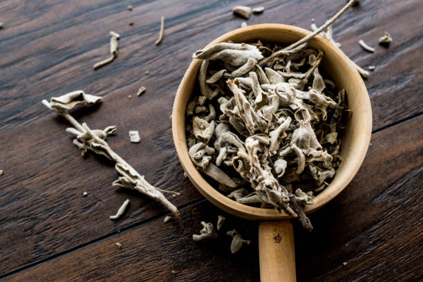 istock Dry Sage Tea in wooden ladle . 693637292