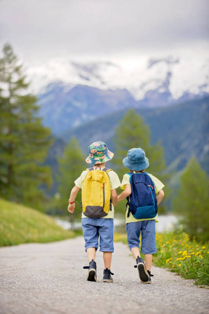 dos niños, hermanos niño, caminando por un senderito en alpes suizos, senderismo de montaña con mochilas, recogiendo hierbas y flores - dandelion snow fotografías e imágenes de stock