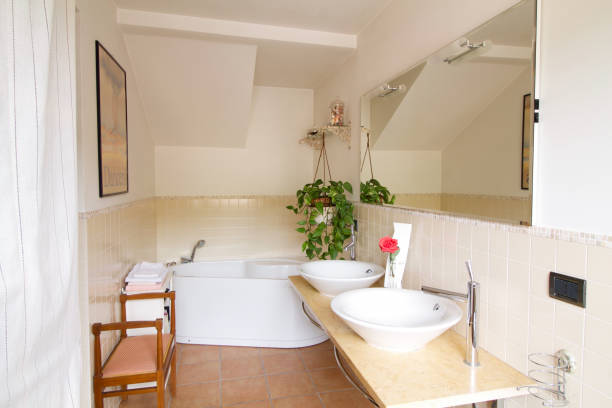 istock bathroom with double  washbasins in country house 693647164
