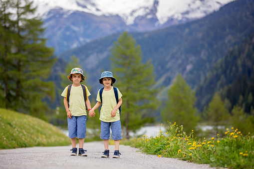 Two children, boy brothers, walking on a little path in Swiss Alps, hiking mountain with backpacks, gathering herbs and flowers