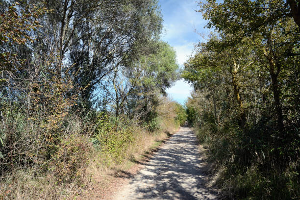 istock Natural Park S'Albufera in Majorca 693655648