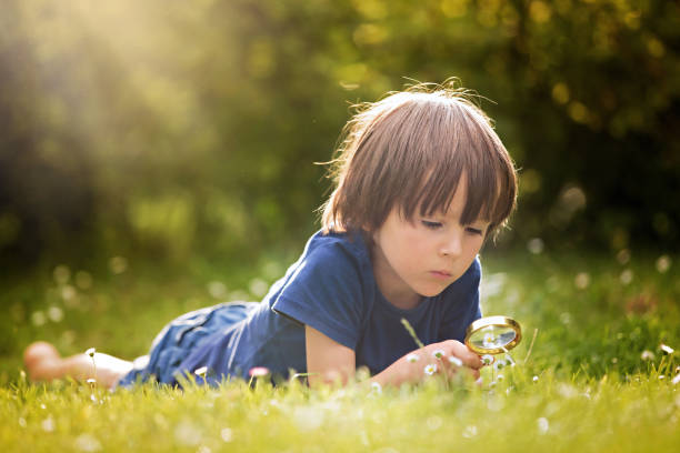 istock Beautiful happy child, boy, exploring nature with magnifying glass, summertime 693665236