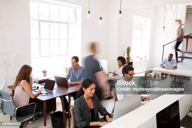 Photo libre de droit de Homme Et Femme Avec Des Documents Dans Un Bureau Sourire Gros Plan banque d'images et plus d'images libres de droit de Bureau - Lieu de travail