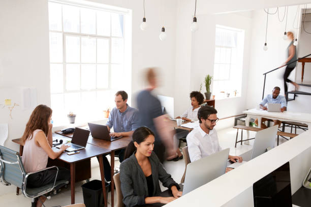 istock Man and woman with documents in an office, smiling, close up 693665302