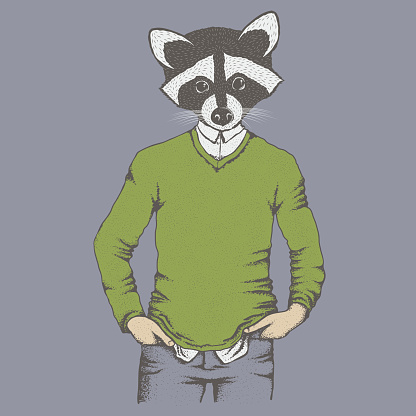 Raccoon vector illustration. Raccoon in human sweater, sweatshirt. Adorable mammal raccoon vector character