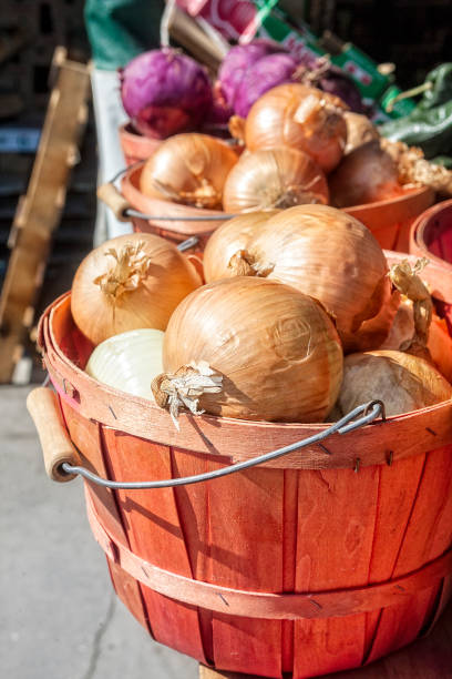 Baskets of Onions at a Farmer's Market