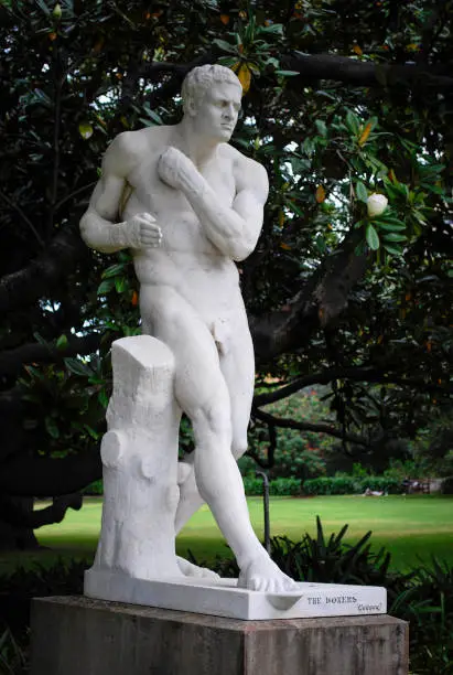 The Boxer white statue. Heritage marble statuary at the Royal Botanic Gardens, Sydney. Originating from 1875-1885