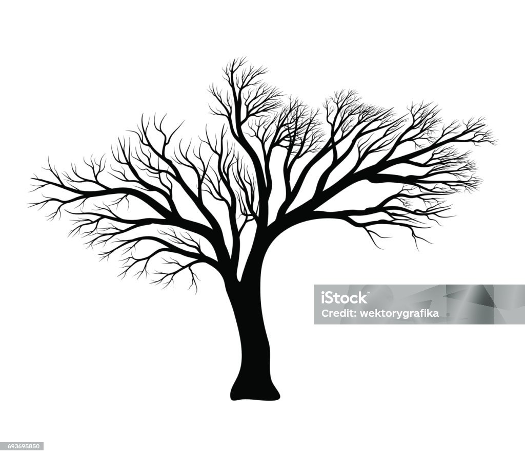 bare tree silhouette vector symbol icon design. bare tree silhouette vector symbol icon design. Beautiful illustration isolated on white background Tree stock vector