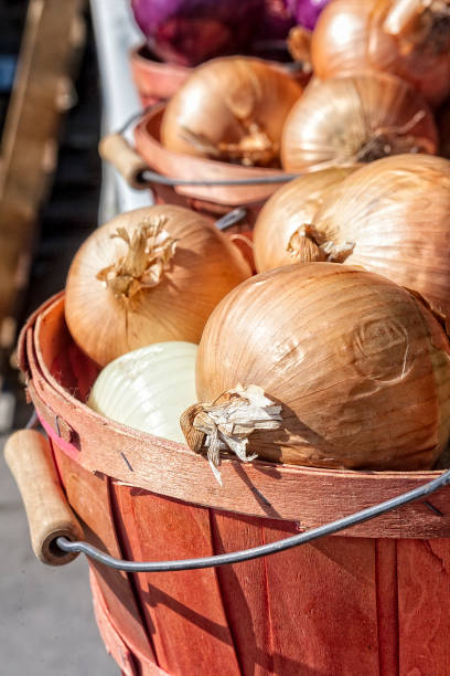 Baskets of Onions at a Farmer's Market