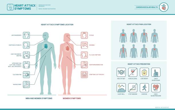Heart attack signs and warnings Heart attack symptoms on men and women infographic, pain location and prevention tips male chest pain stock illustrations