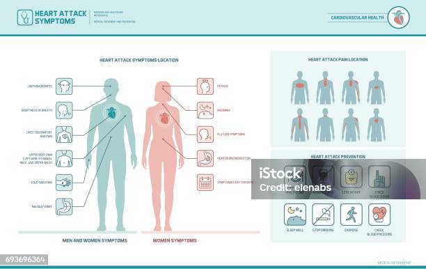 Heart Attack Signs And Warnings Stock Illustration - Download Image Now - Heart Attack, Women, Infographic