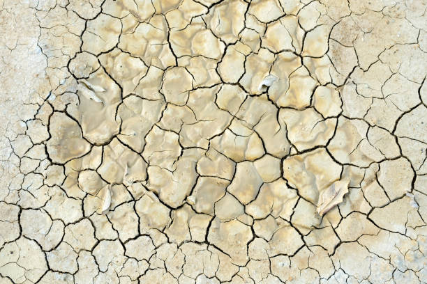 istock abstract background rift of soil Climate change and drought land 693716494