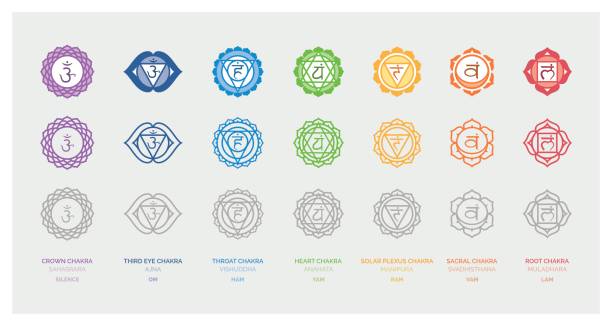 The seven chakras The seven chakras set, their meaning and sanskrit name; spirituality and energy healing concept chakra stock illustrations