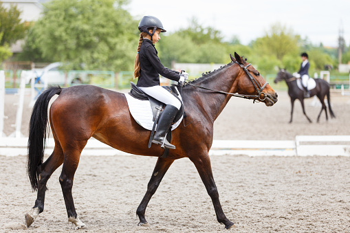 Young teenage girl riding horse on dressage