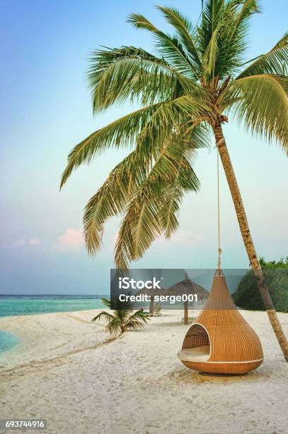 Photo libre de droit de Chaise Sous Palmier Sur La Plage Resort Maldives Accrochante banque d'images et plus d'images libres de droit de Maldives