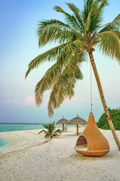 istock Hanging chair under palm tree on a beach at Maldives resort 693744916