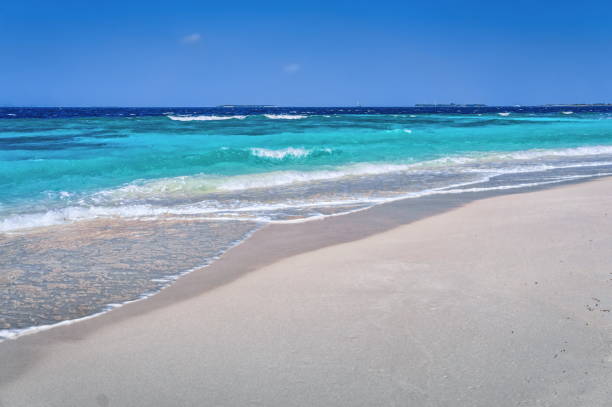 istock Beach and seascape view on Maldives 693744968