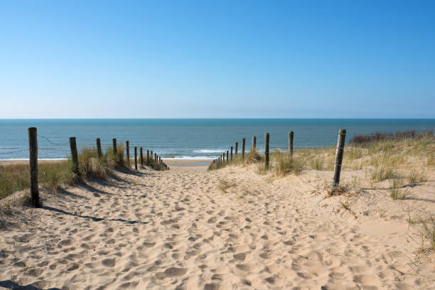istock Path in the dunes with sea view 693745052