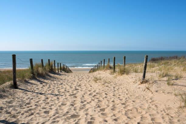 Path in the dunes with sea view Path in the dunes with trails in the sand and sea view baltic sea stock pictures, royalty-free photos & images