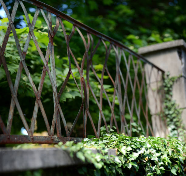istock Selective focus nature panoramas: Rusty fence with ivy 693748936