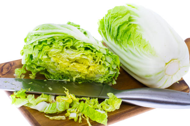 istock Head of fresh green Chinese cabbage 693749440
