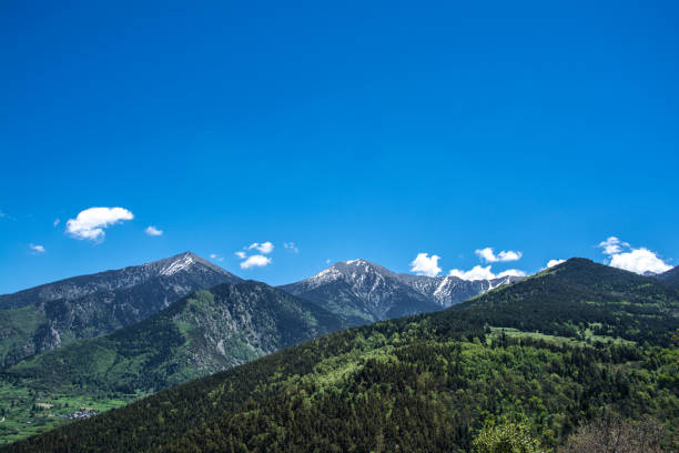 istock Landscape of forest and mountains 693756412