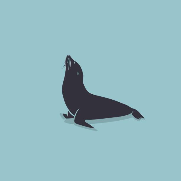 символ морского льва - mammals stock illustrations