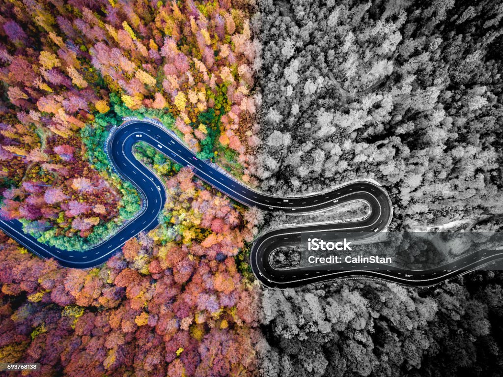 Aerial drone view of a curved winding road through the forest. Artistic interpretation. Adventure Stock Photo