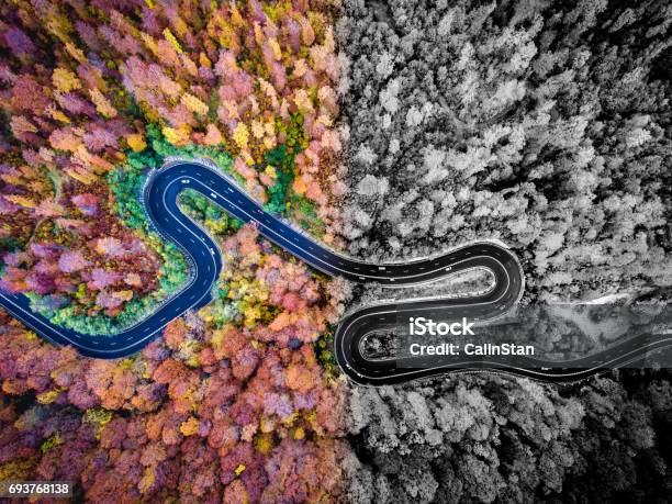 Aerial Drone View Of A Curved Winding Road Through The Forest Artistic Interpretation Stock Photo - Download Image Now