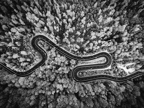 Aerial drone view of a curved winding road through the forest. Black and white version