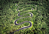 Winding road in the forest