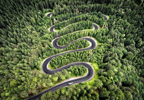 Winding road in the forest stock photo