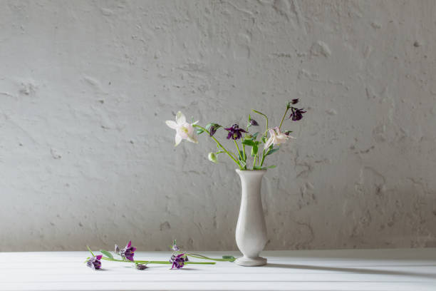 istock flowers in vase on background old white wall 693771392