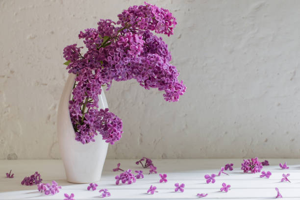 istock flowers in vase on background  white wall 693771438