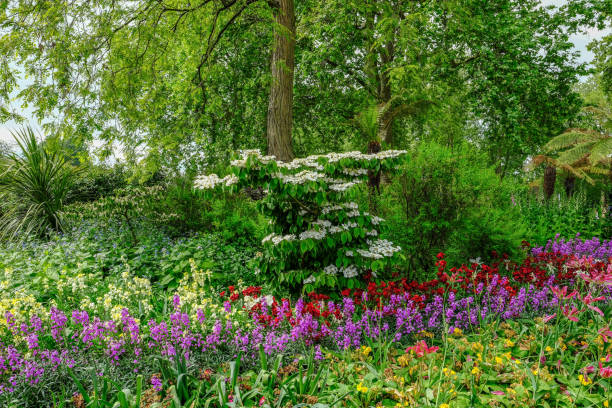 Flower bed with beautiful spring flower display. horizontal shot.