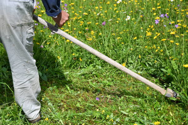 istock mowing the grass traditional way with the scythe 693774366