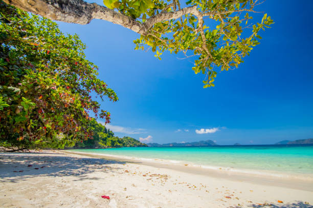 istock Nyaung oo phee 's coral 693774720