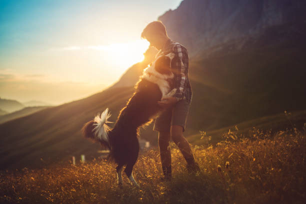 äventyr på dolomiterna: vänner vandring med hund - tuff bergart bildbanksfoton och bilder