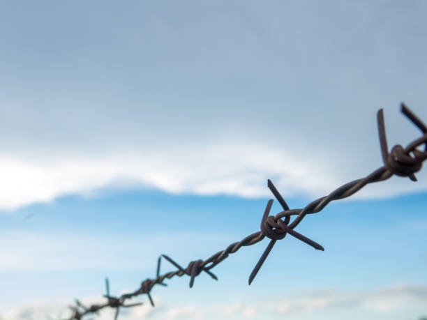 istock Wire iron line on beautiful blue sky and cloud 693778486