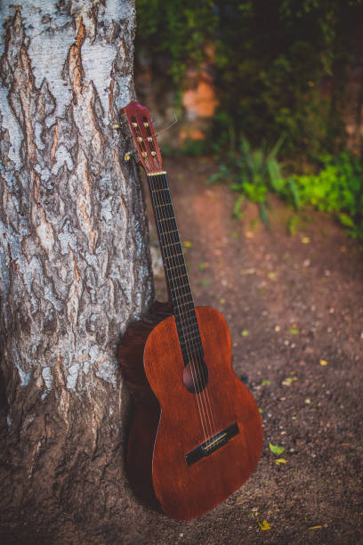 istock Wooden Acoustic Guitar 693787704