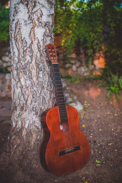 istock Wooden Acoustic Guitar 693792180
