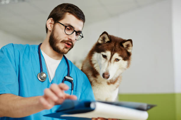 istock Result of x-ray 693798156