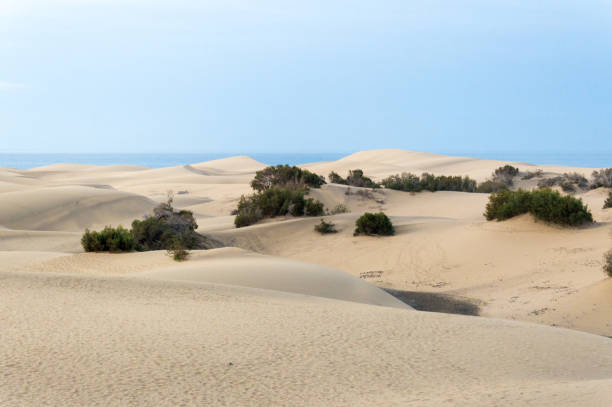 istock Desert with sand dunes in Gran Canaria, Spain 693798906