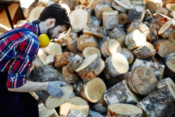 lavorare al cantiere - horse cutting competition foto e immagini stock