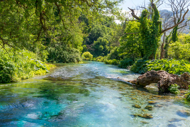 istock Blue eye - The initial water source of Bistrice river 693802914