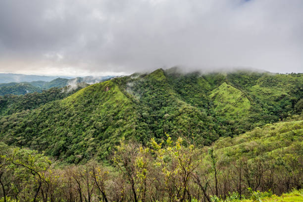 istock mountain peak and mountain ridge in rain forest and raining fog 693806592