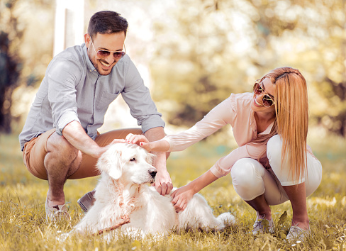 Happy couple with labrador retriever in the park.Family, pet, animal and people concept.