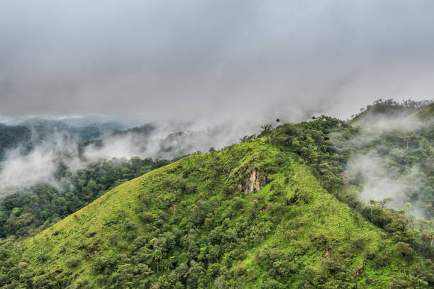 istock mountain peak and mountain ridge in rain forest and raining fog 693810286