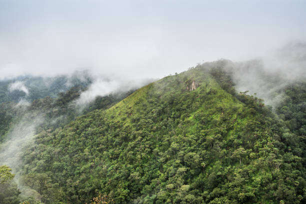 istock mountain peak and mountain ridge in rain forest and raining fog 693812838
